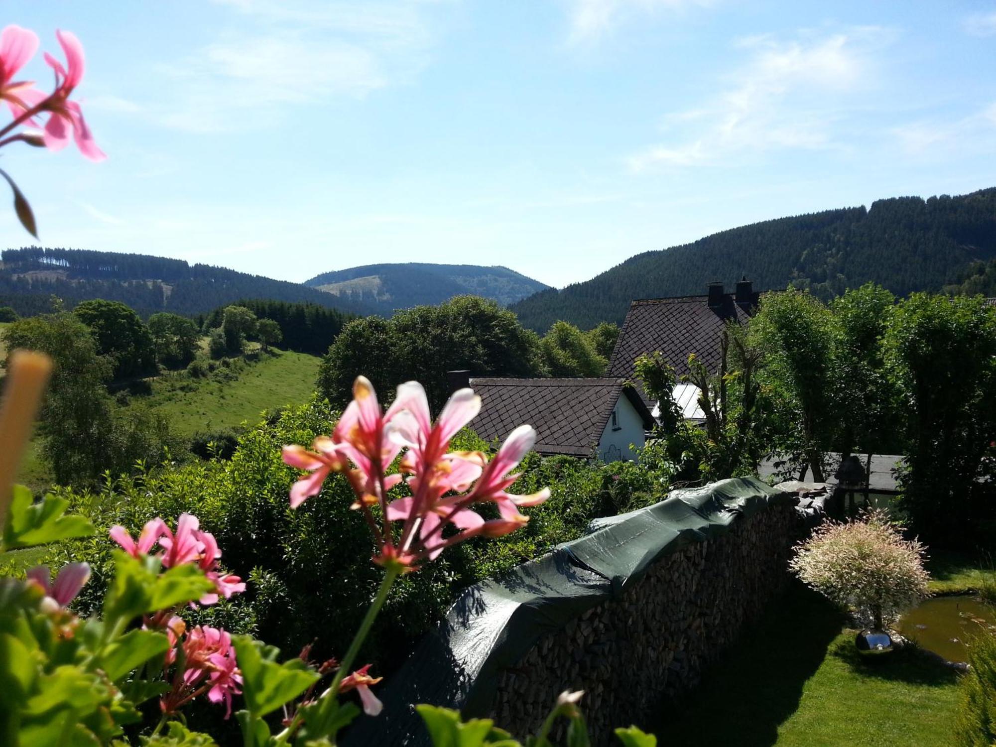 Ferienwohnungen Luge - Winterberg Bilik gambar
