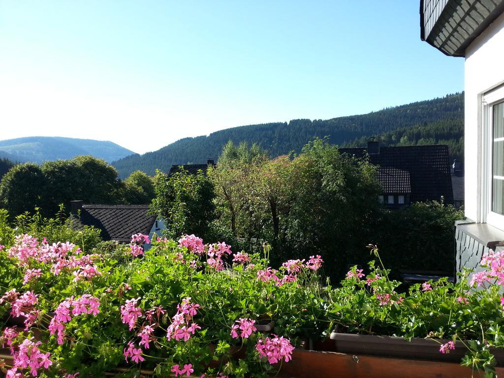 Ferienwohnungen Luge - Winterberg Luaran gambar