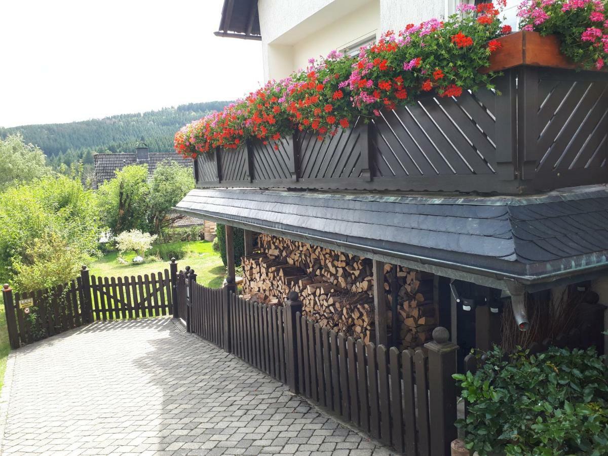 Ferienwohnungen Luge - Winterberg Luaran gambar