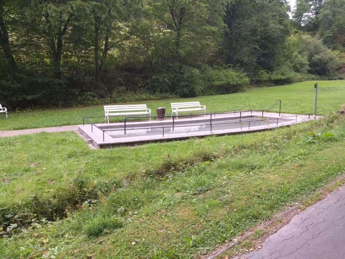 Ferienwohnungen Luge - Winterberg Luaran gambar