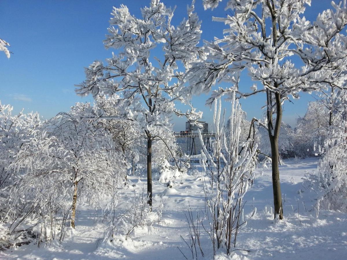Ferienwohnungen Luge - Winterberg Bilik gambar