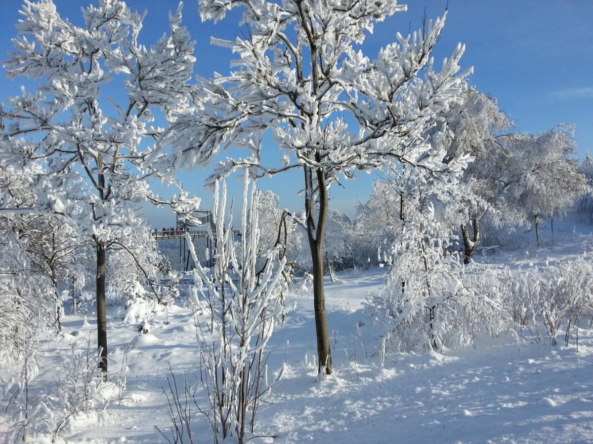 Ferienwohnungen Luge - Winterberg Bilik gambar